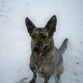 Andaaaaaaaaaa vaya descubrimiento!!!! la nieve!!!